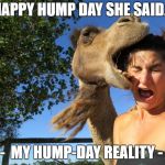 hump day | HAPPY HUMP DAY SHE SAID... -  MY HUMP-DAY REALITY - | image tagged in hump day | made w/ Imgflip meme maker