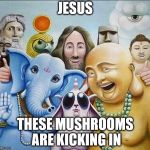 magic mushrooms | JESUS; THESE MUSHROOMS ARE KICKING IN | image tagged in religions common ground | made w/ Imgflip meme maker