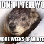 groundhog in snow | DIDN'T I TELL YOU; 6 MORE WEEKS OF WINTER? | image tagged in groundhog in snow | made w/ Imgflip meme maker
