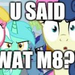 angry group of ponies | U SAID; WAT M8?! | image tagged in angry group of ponies,memes,wat,u wot m8 | made w/ Imgflip meme maker