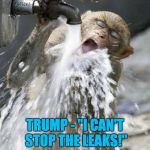 Trump - "I can't stop the leaks!" | TRUMP - "I CAN'T STOP THE LEAKS!" | image tagged in trump,faucet,leaks,trump leaks,leaking trump | made w/ Imgflip meme maker