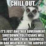 Politicians making more excuses for shutdowns | CHILL OUT. IT'S JUST ANOTHER GOVERNMENT SHUTDOWN. POLITICIANS WILL JUST BLAME THEIR TARDINESS ON BAD WEATHER AT THE AIRPORTS. | image tagged in chill out lemur,memes,government shutdown,weather,politicians suck,corruption | made w/ Imgflip meme maker