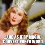 magic | ...AND AS IF BY MAGIC, CONVERT PDF TO WORD | image tagged in magic | made w/ Imgflip meme maker