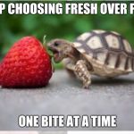 Healthy eating baby turtle
 | KEEP CHOOSING FRESH OVER FAKE; ONE BITE AT A TIME | image tagged in healthy baby turtle,fresh food,nutrition,healthy,nutritious,whole food | made w/ Imgflip meme maker