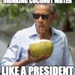Obama Coconut | DRINKING COCONUT WATER; LIKE A PRESIDENT | image tagged in obama coconut | made w/ Imgflip meme maker
