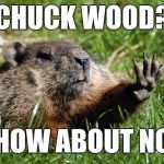 Chuck your own wood,Charlie | CHUCK WOOD? HOW ABOUT NO | image tagged in woodchuck nope,memes,woodchuck | made w/ Imgflip meme maker