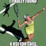 They stop howling after a couple of hits | I FINALLY FOUND; A USE FOR CATS | image tagged in grumpy cat tennis,first world cat problems,not amused,bounce | made w/ Imgflip meme maker