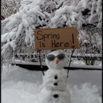 Spring snowman