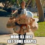 Groceries | MOM: ILL JUST GET SOME GRAPES | image tagged in groceries | made w/ Imgflip meme maker