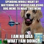 I Have No Idea What I Am Doing Dog Meme Generator - Imgflip