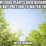 sunshine trees | "MY FAKE PLANTS DIED BECAUSE I DID NOT PRETEND TO WATER THEM."; MITCH HEDBERG | image tagged in sunshine trees | made w/ Imgflip meme maker