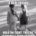 Best Friends  | IF YOU HAVE A REAL FRIEND; HOLD ON TIGHT,
THEY'RE EXTREMELY HARD TO FIND! | image tagged in best friends | made w/ Imgflip meme maker