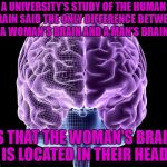 Where is your brain | A UNIVERSITY'S STUDY OF THE HUMAN BRAIN SAID THE ONLY DIFFERENCE BETWEEN A WOMAN'S BRAIN AND A MAN'S BRAIN; IS THAT THE WOMAN'S BRAIN IS LOCATED IN THEIR HEAD | image tagged in brains | made w/ Imgflip meme maker
