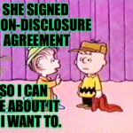 Charlie Brown and Lyin'-Ass | SHE SIGNED A NON-DISCLOSURE AGREEMENT; SO I CAN LIE ABOUT IT IF I WANT TO. | image tagged in charlie brown and linus,stormy daniels,lyin' ass trump | made w/ Imgflip meme maker