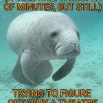 Darn dyslexia | I SPENT WAY TOO LONG (IT WAS ONLY A COUPLE OF MINUTES, BUT STILL); TRYING TO FIGURE OUT WHY A THEATRE HAD MANATEE PRICES | image tagged in manatee,memes | made w/ Imgflip meme maker