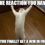 Fortnite reaction | THE REACTION YOU HAVE; WHEN YOU FINALLY GET A WIN IN FORTNITE | image tagged in cat victory,fortnite,memes | made w/ Imgflip meme maker