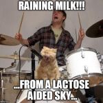 slayer cat | RAINING MILK!!! ...FROM A LACTOSE AIDED SKY... | image tagged in singing cat,slayer | made w/ Imgflip meme maker