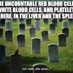graveyard cemetary | THE UNCOUNTABLE RED BLOOD CELLS, WHITE BLOOD CELLS, AND PLATELETS LIE HERE, IN THE LIVER AND THE SPLEEN... but really, who cares...? | image tagged in graveyard cemetary | made w/ Imgflip meme maker