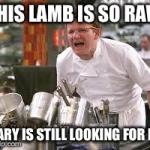 Gordon ramsey | image tagged in memes,chef gordon ramsey,funny | made w/ Imgflip meme maker