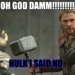 Thor | OH GOD DAMM!!!!!!!!! HULK I SAID NO | image tagged in thor | made w/ Imgflip meme maker