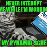 Computer Cat Scheme  | NEVER INTERUPT ME WHILE I'M WORKING; ON MY PYRAMID SCHEME | image tagged in cat computer,amway salesman,caturday,funny memes | made w/ Imgflip meme maker