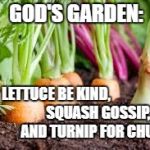 Garden | GOD'S GARDEN:; LETTUCE BE KIND,                              
SQUASH GOSSIP,                    AND TURNIP FOR CHURCH | image tagged in garden | made w/ Imgflip meme maker