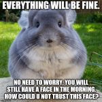 the cute ones are the ones to NOT trust | EVERYTHING WILL BE FINE. NO NEED TO WORRY, YOU WILL STILL HAVE A FACE IN THE MORNING. HOW COULD U NOT TRUST THIS FACE? | image tagged in chinchilla,nomoreface,good night | made w/ Imgflip meme maker