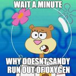 Sandy I Don't Know Why | WAIT A MINUTE; WHY DOESNT SANDY RUN OUT OF OXYGEN | image tagged in sandy i don't know why | made w/ Imgflip meme maker
