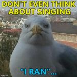 He'll run so far away... :) | DON'T EVEN THINK ABOUT SINGING; "I RAN"... | image tagged in ignant seagull is ignant,memes,flock of seagulls,music | made w/ Imgflip meme maker