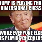 Donal Trump Face | TRUMP IS PLAYING THREE DIMENSIONAL CHESS; WHILE EVERYONE ELSE IS PLAYING CHECKERS | image tagged in donal trump face | made w/ Imgflip meme maker