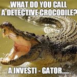 Crocodile Singing | WHAT DO YOU CALL A DETECTIVE CROCODILE? A INVESTI - GATOR..... | image tagged in crocodile singing | made w/ Imgflip meme maker