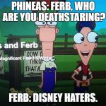 Disney needs to stop being hated. | PHINEAS: FERB, WHO ARE YOU DEATHSTARING? FERB: DISNEY HATERS. | image tagged in phineas and ferb | made w/ Imgflip meme maker
