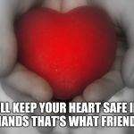 your heart | I'LL KEEP YOUR HEART SAFE IN MY HANDS THAT'S WHAT FRIENDS DO | image tagged in your heart | made w/ Imgflip meme maker