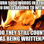 Burning paper  | IF I BURN 5000 WORDS IN A FOREST, AND NO ONE IS AROUND TO WITNESS IT; DO THEY STILL COUNT AS BEING WRITTEN? | image tagged in burning paper | made w/ Imgflip meme maker