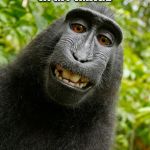 funny monkey | GOD MADE MAN IN MY IMAGE | image tagged in funny monkey | made w/ Imgflip meme maker
