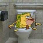 Bathroom spongegar