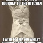 Aristocat | JENKINS, PREPARE A JOURNEY TO THE KITCHEN; I WISH TO TRIP YOU WHILST RUNNING BETWEEN YOUR LEGS | image tagged in aristocat | made w/ Imgflip meme maker