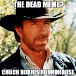 Dead memes week! A thecoffeemaster and SilicaSandwhich event! (March 23-29) | DID YOU HEAR ABOUT THE DEAD MEME? CHUCK NORRIS ROUNDHOUSE KICKED IT | image tagged in chuck norris fact,chuck norris,dead memes week,memes | made w/ Imgflip meme maker