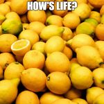 Lemons | HOW'S LIFE? | image tagged in lemons | made w/ Imgflip meme maker