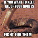 snake bite  | IF YOU WANT TO KEEP ALL OF YOUR RIGHTS; FIGHT FOR THEM | image tagged in snake bite | made w/ Imgflip meme maker