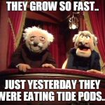 Muppets | THEY GROW SO FAST.. JUST YESTERDAY THEY WERE EATING TIDE PODS.... | image tagged in muppets | made w/ Imgflip meme maker
