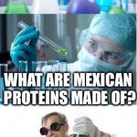 What are Mexican proteins made of? | IN BIOLOGY; WHAT ARE MEXICAN PROTEINS MADE OF? AMIGO-ACIDS | image tagged in bad pun scientist,biology,what are mexican proteins made of | made w/ Imgflip meme maker