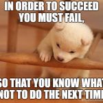 cute puppy fail | IN ORDER TO SUCCEED YOU MUST FAIL, SO THAT YOU KNOW WHAT NOT TO DO THE NEXT TIME. | image tagged in cute puppy fail | made w/ Imgflip meme maker