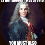 voltaire | TO SUCCEED IN THE WORLD IT IS NOT ENOUGH TO BE STUPID;; YOU MUST ALSO BE WELL MANNERED. | image tagged in voltaire | made w/ Imgflip meme maker