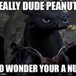 Bored Dragon | REALLY DUDE PEANUTS; NO WONDER YOUR A NUT | image tagged in bored dragon | made w/ Imgflip meme maker