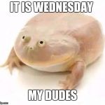 My Dudes | IT IS WEDNESDAY; MY DUDES | image tagged in my dudes | made w/ Imgflip meme maker