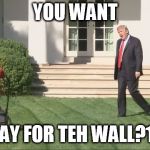Trump lawnmower kid | YOU WANT; PAY FOR TEH WALL?11 | image tagged in trump lawnmower kid | made w/ Imgflip meme maker