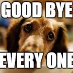 cute dog | GOOD BYE; EVERY ONE | image tagged in cute dog | made w/ Imgflip meme maker