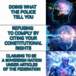Expanding brain 2.0 | RECOGNIZING WE LIVE UNDER A REPUBLIC AND OBEYING THE LAW; DOING WHAT THE POLICE TELL YOU; REFUSING TO COMPLY BY CITING YOUR CONSTITUTIONAL RIGHTS; CLAIMING TO BE A SOVEREIGN NATION UNDER ARTICLES OF THE FEDERATION; SCREAMING"AM I BEING DETAINED?!" OVER AND OVER | image tagged in memes,funny,all the things | made w/ Imgflip meme maker