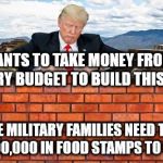 Trump wall | HE WANTS TO TAKE MONEY FROM THE MILITARY BUDGET TO BUILD THIS FIASCO; WHILE MILITARY FAMILIES NEED TO GET $100,000,000 IN FOOD STAMPS TO SURVIVE | image tagged in trump wall | made w/ Imgflip meme maker
